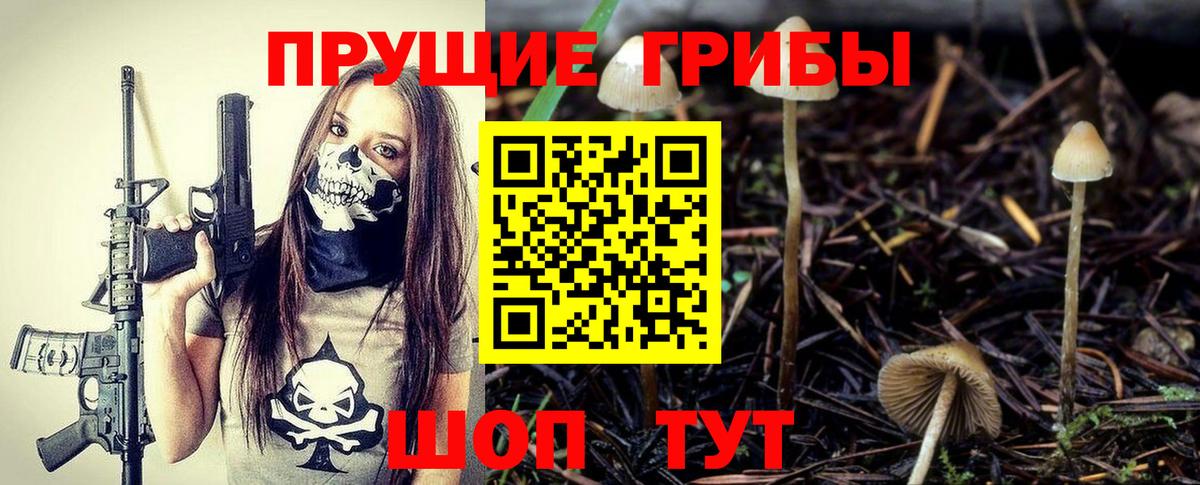 Псилоцибиновые грибы мицелий Сланцы
